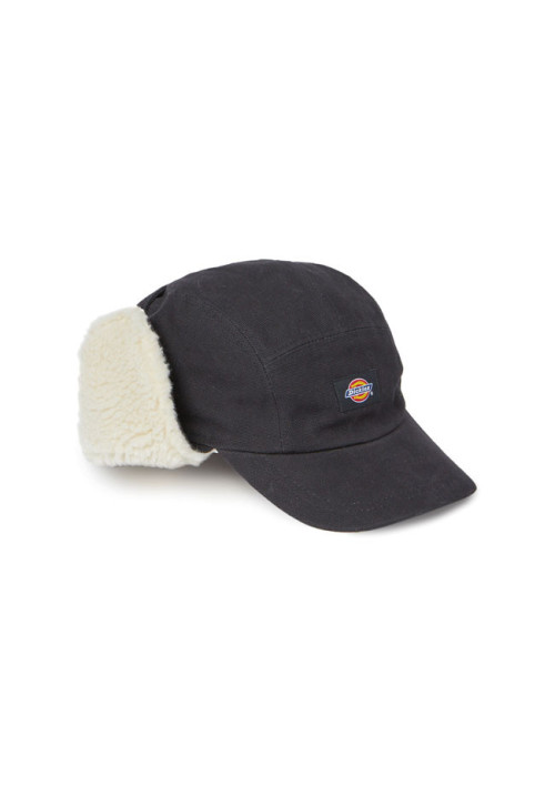 Gorra Dickies King Cove