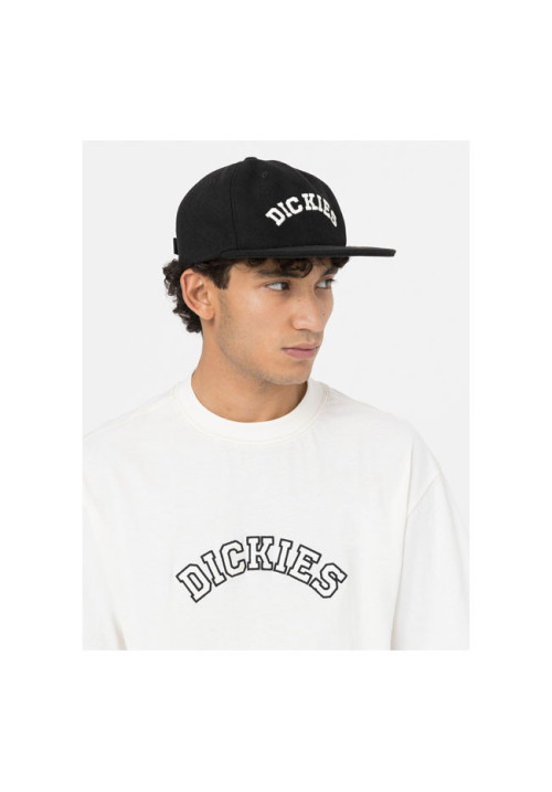 Gorra Dickies West 