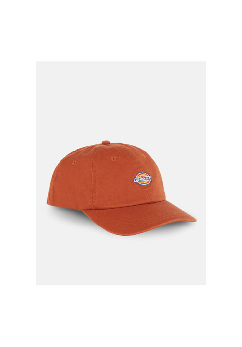 Gorra Dickies Hardwick Teja